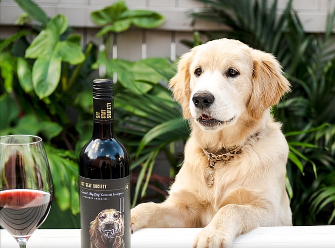 wine names for dogs