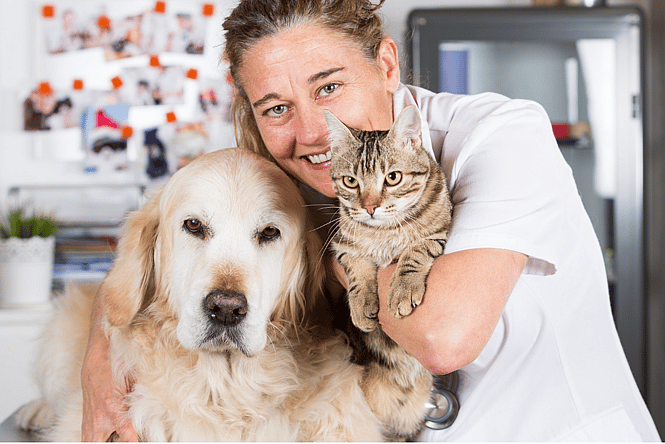Local Non-Profit Organizations -spay and neuter