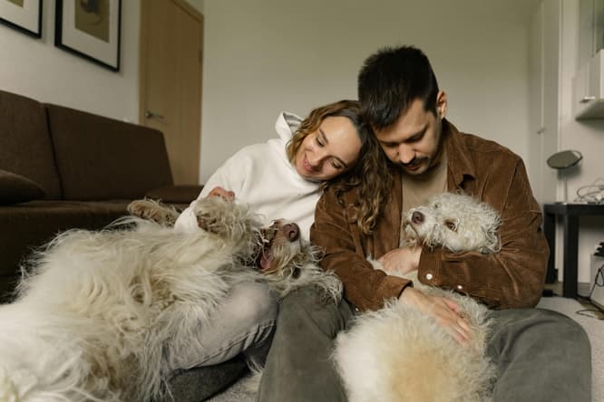 Dogs cuddling with their humans