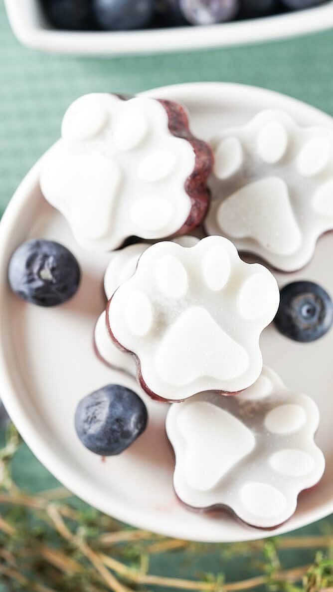 Can Dogs Eat Blueberries