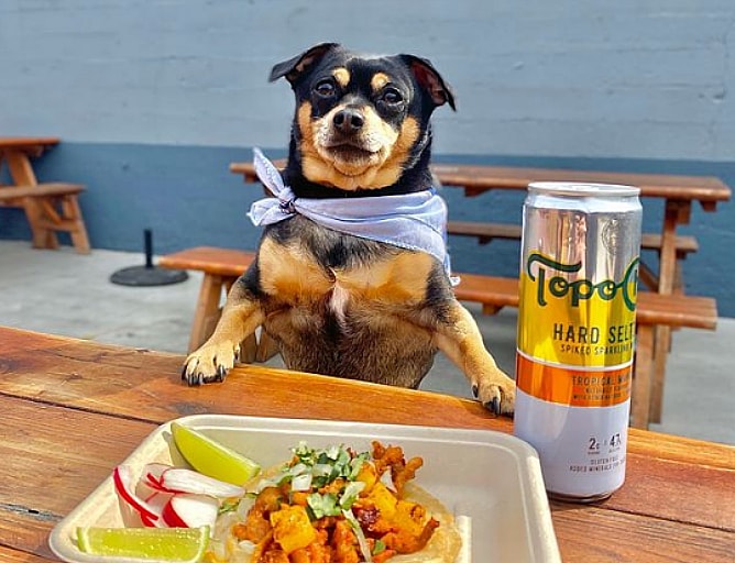 White Owl Social Club - dog friendly restaurant in Portland