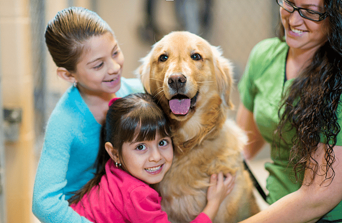 Dog adoption
