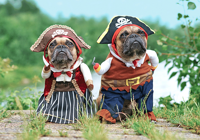 Dog Names Starting with J