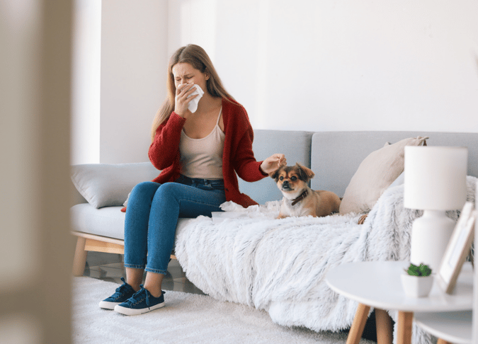 Are French Bulldogs Hypoallergenic