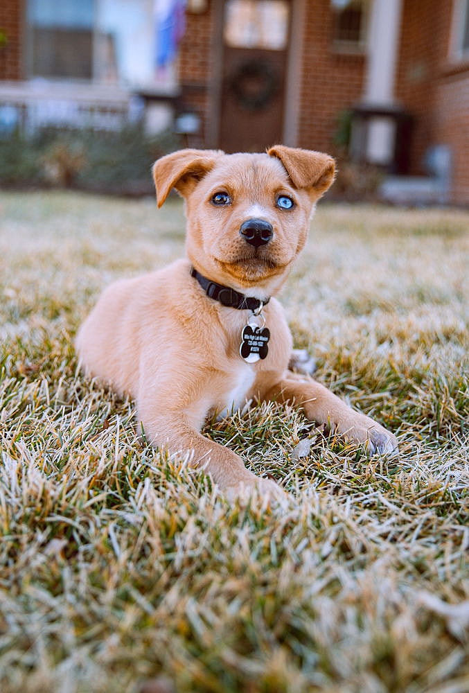 North Plains / Yeager