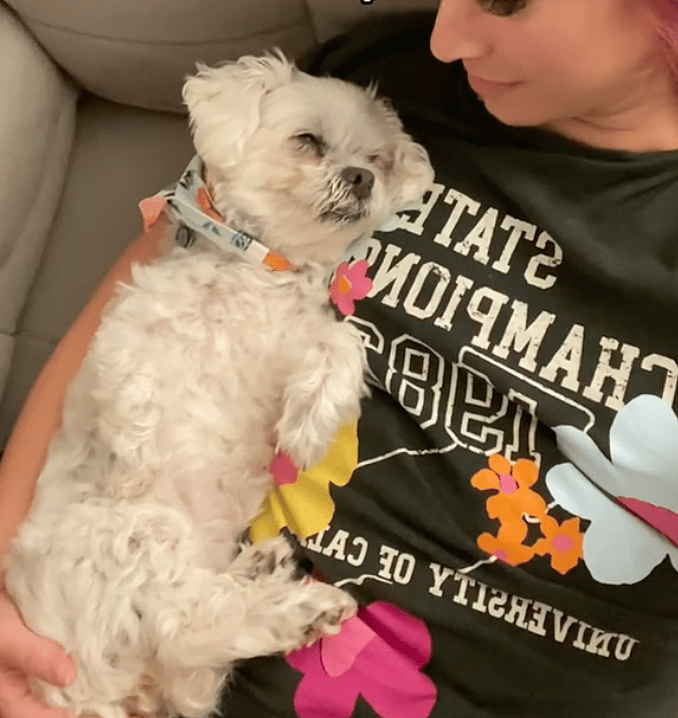 Dog rescue: Woman Turns Grief Into Inspiring Mission To Help Senior Pets in Need