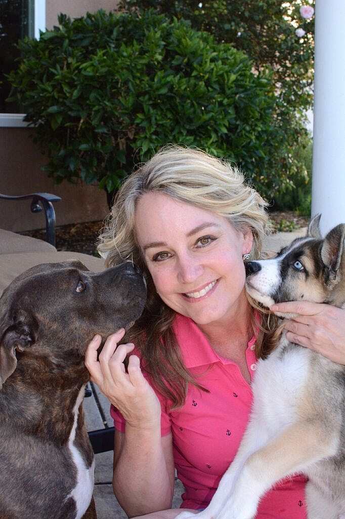 Dog Rescue: Pit Bull's Rescue Just Seconds Before Euthanasia Inspires Journey of Hope and Healing