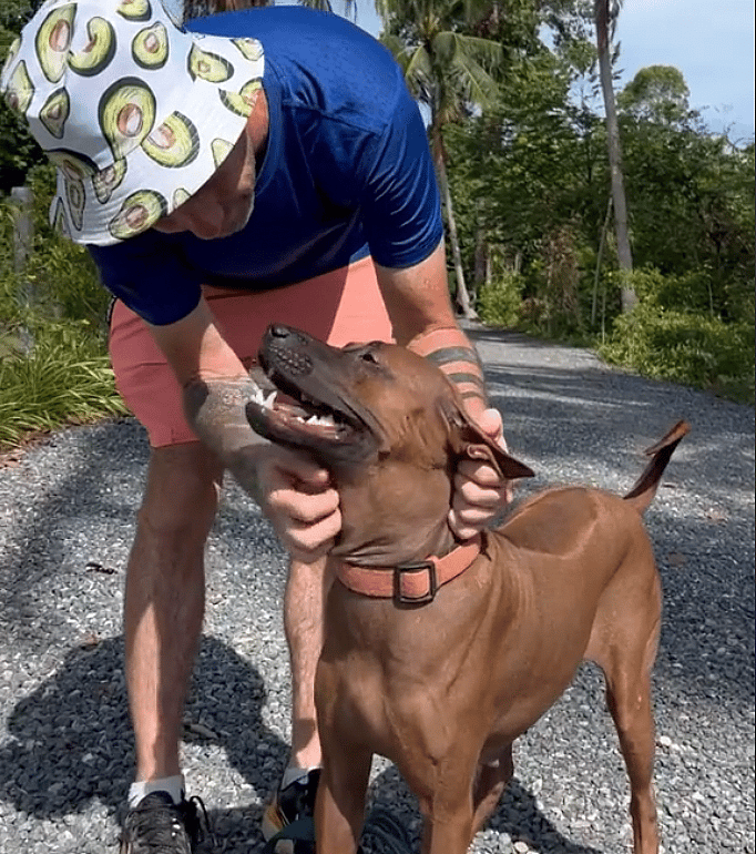Mama Dog Spent Entire Life On Short Chain Birthing Puppies Until Rescuers Freed Her