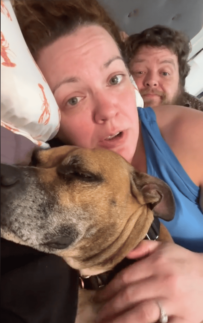 Dog Rescuer's Viral Plea for Adopting "Senior Dogs" Is Spot On