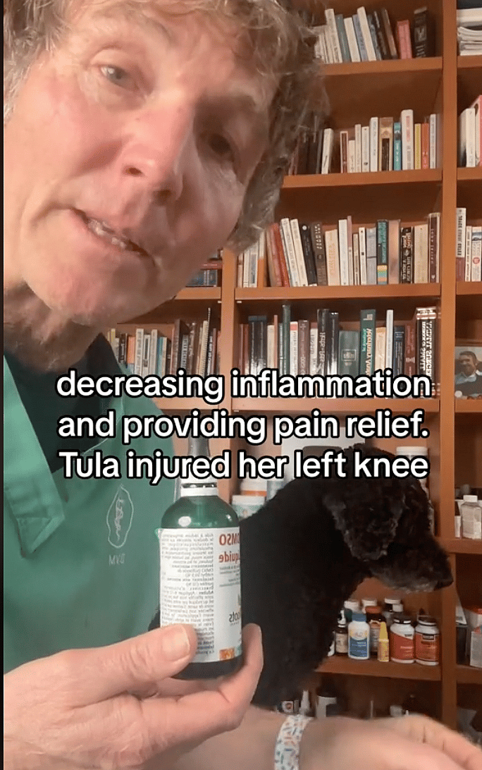 Painkillers for Dogs