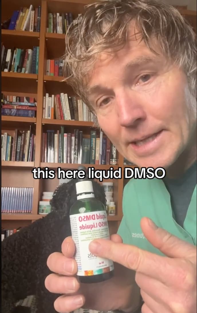 Painkillers for Dogs