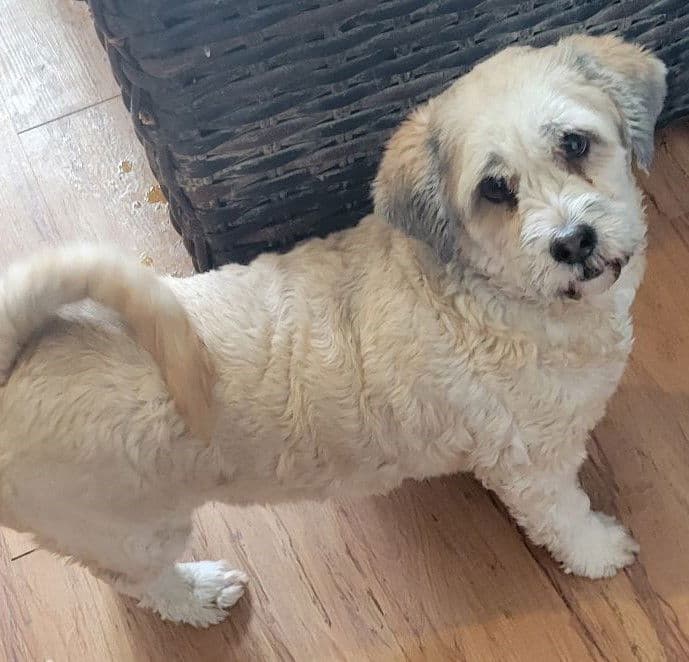 Esteline