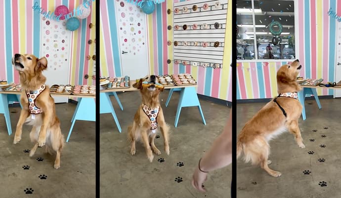 Man opens up a donut shop