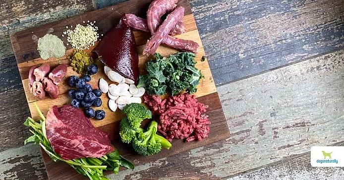 Raw Dog Food Recipes