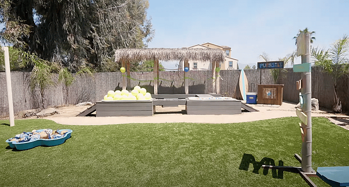 Homeless Dogs Adoption