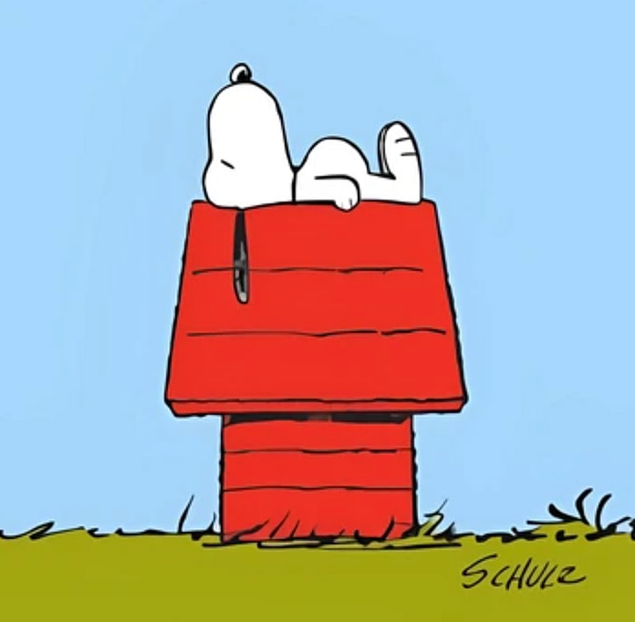 What Kind Of Dog is Snoopy