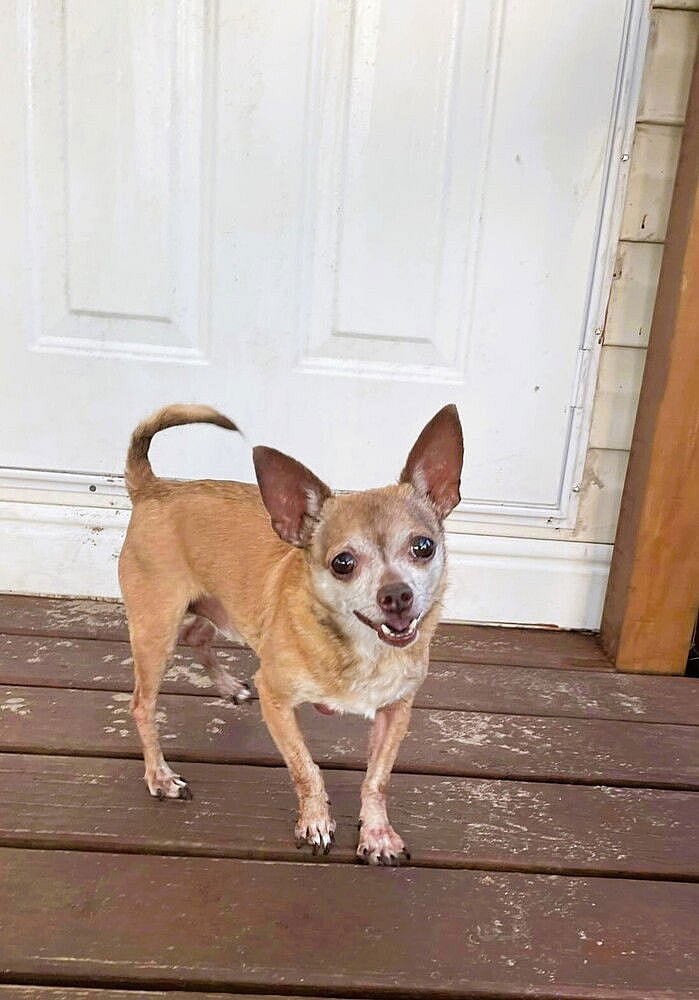 Micro - Bonded With Zany