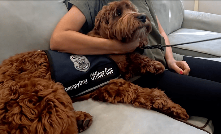 This DOODLE Is A Police Officer