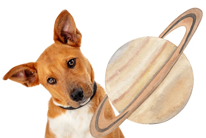 Astrology Names for Dogs