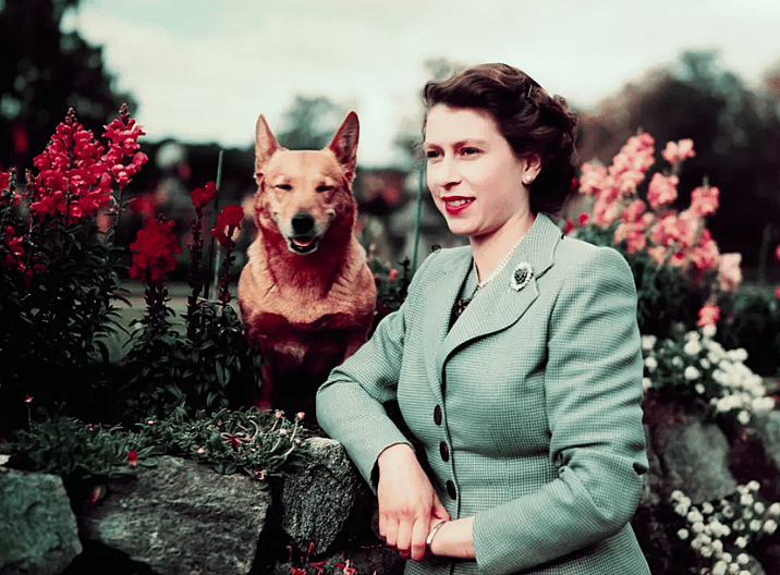 Queen Elizabeth II and one of her dogs