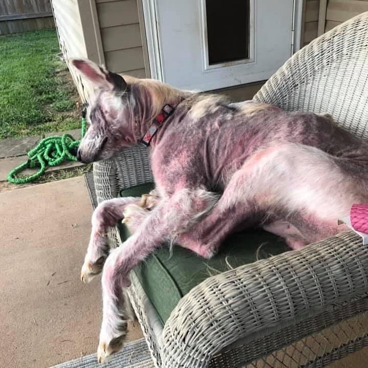 His skin was covered in painful sores