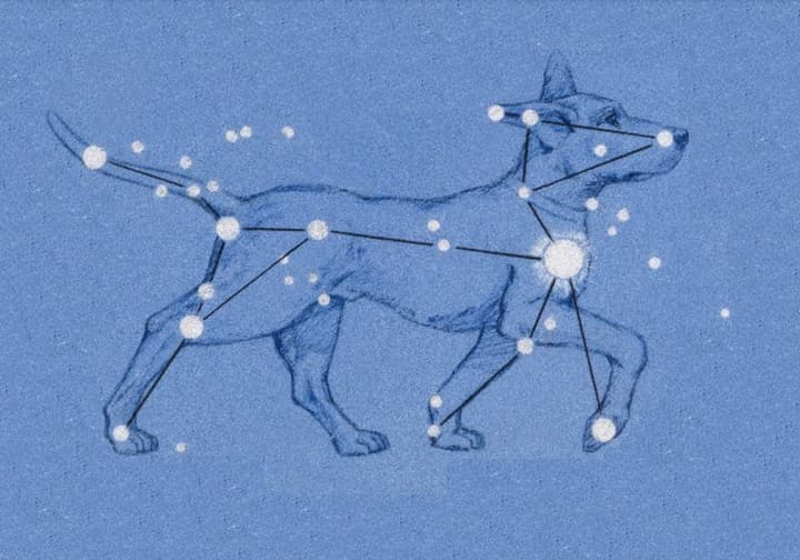 Astrology Names for Dogs