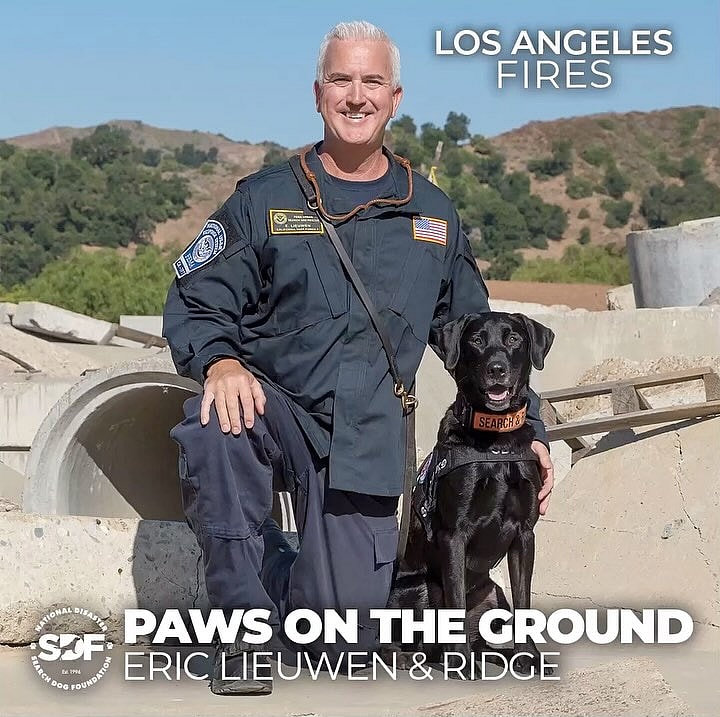 This Shelter Dog Was Rejected by Everyone—Now He’s a Lifesaving Hero with a Second Chance You Won’t Believe!