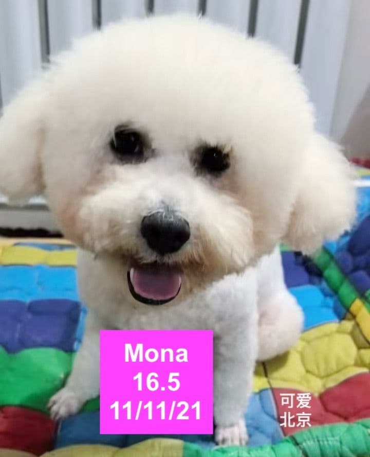 Mona