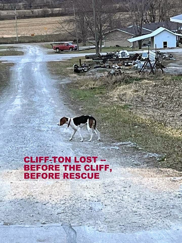 Cliff-ton