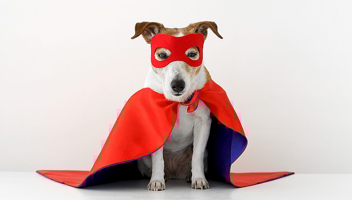 Marvel Names for Dogs