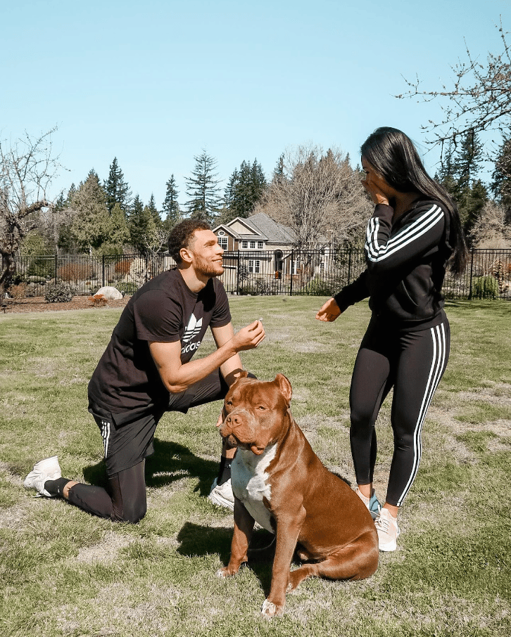 Celebrities Own Pitbulls - Zack LaVine