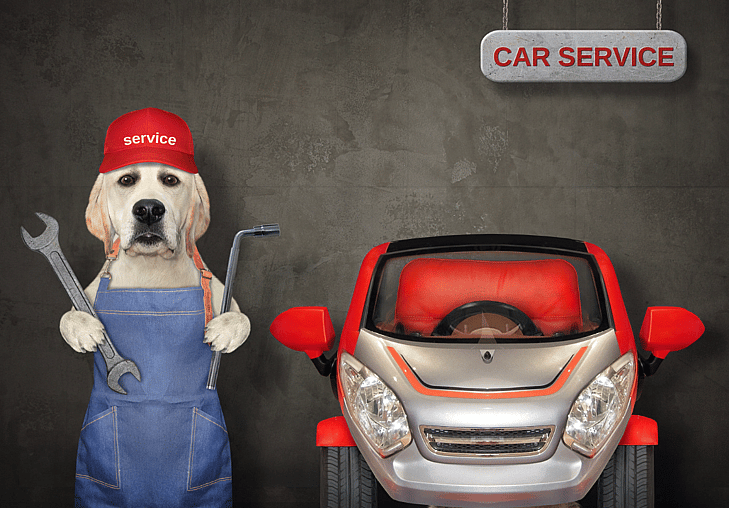 Car Names for Dogs
