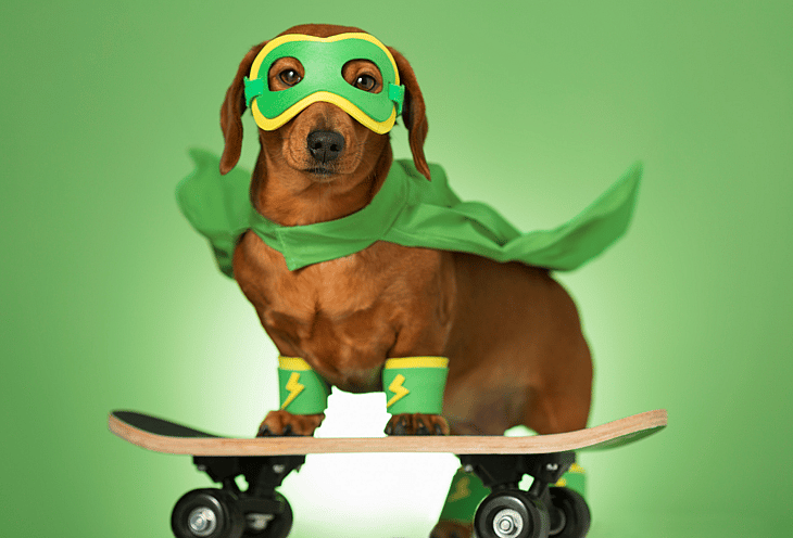 dog in a superhero costume: Marvel Names for Dogs