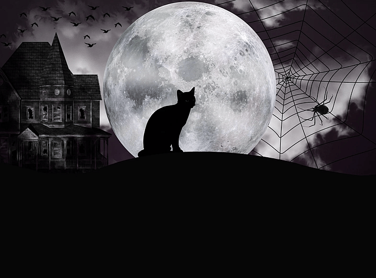 The Enigma of the Black Cat