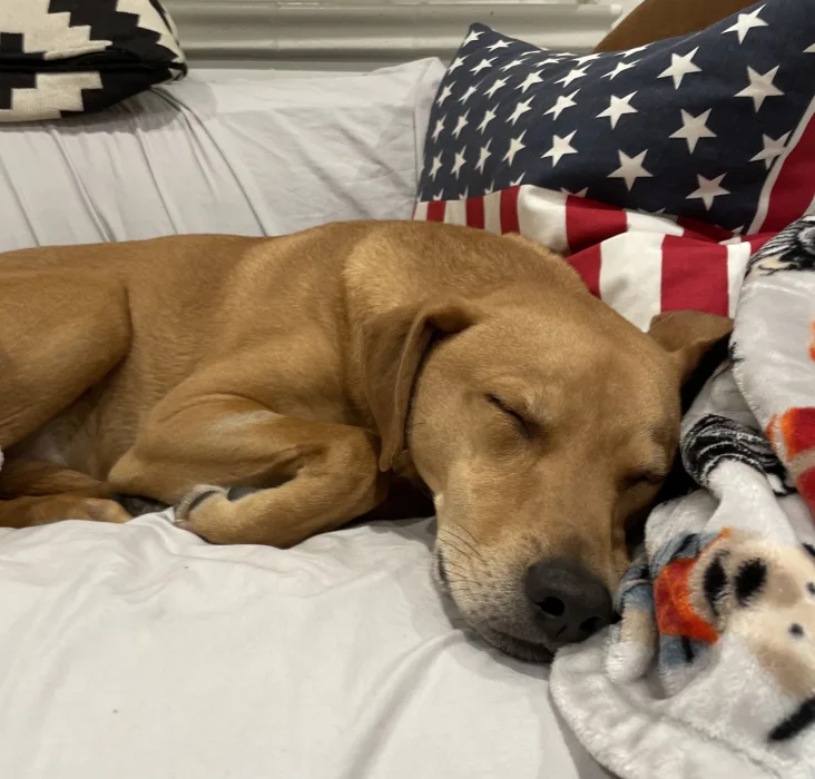 🥇 Second Place: Derek