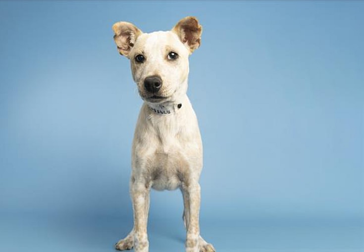 1. Nilla: Find a new hobbyÂ