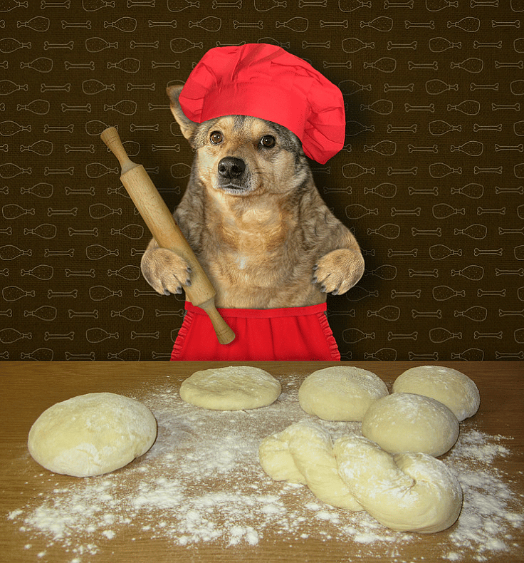 Can dogs eat bread?
