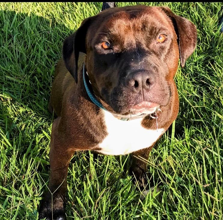 Buster