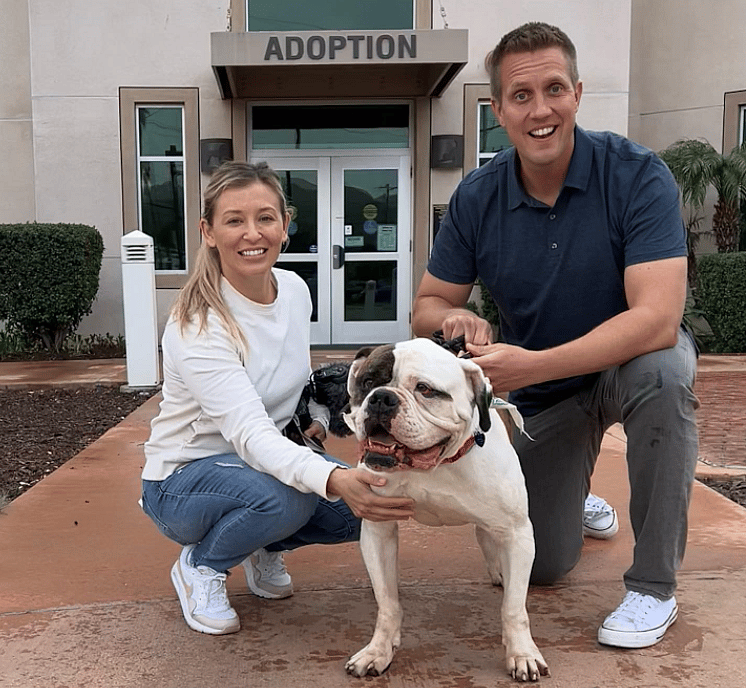 rocky and kelly with winston their new foster bulldog - the BIGGEST mistake you can make when adopting a new pet