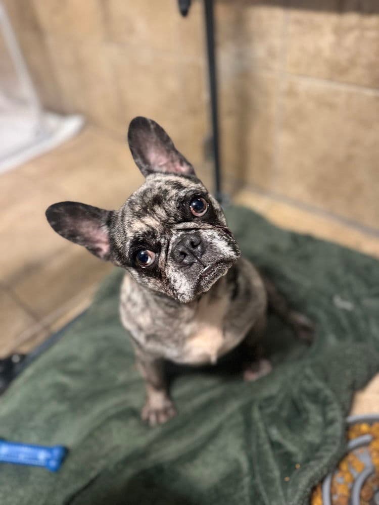 Missy