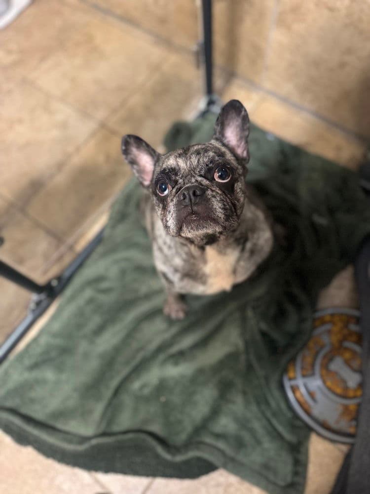 Missy