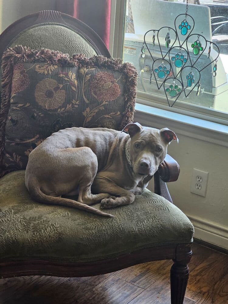 Baby Girl