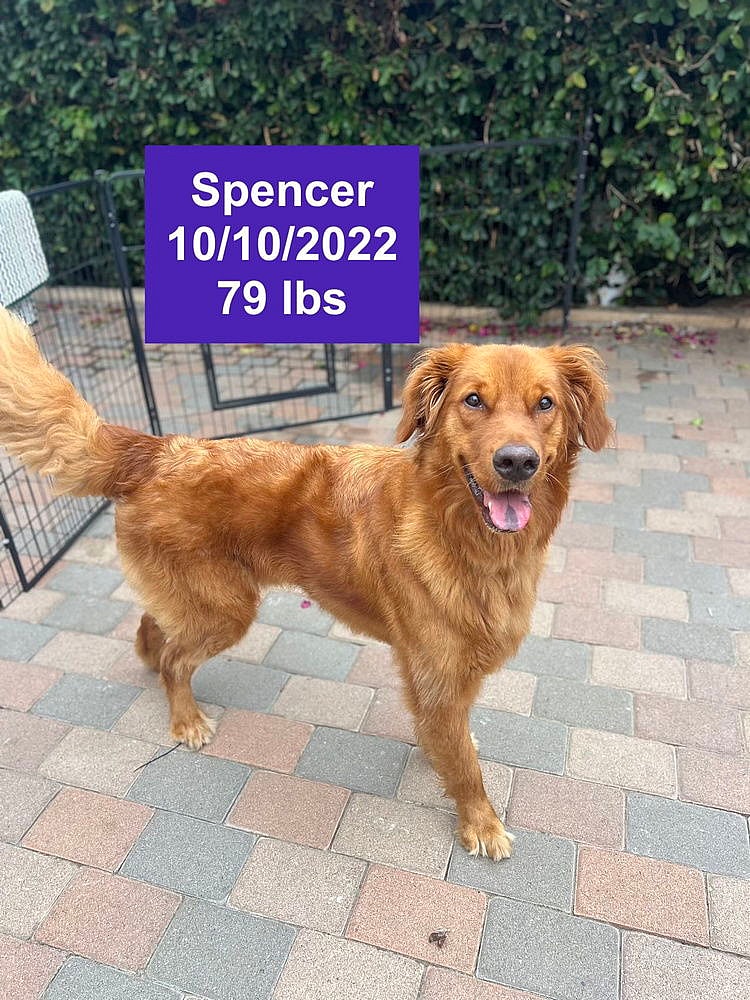 Spencer