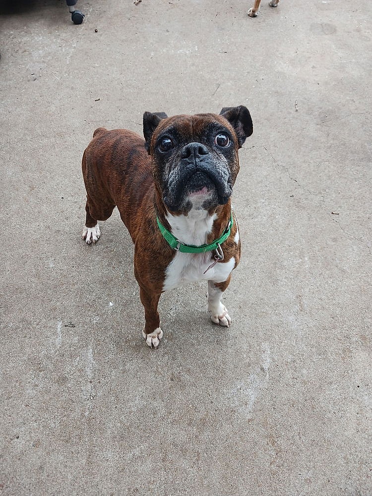 Rufus II