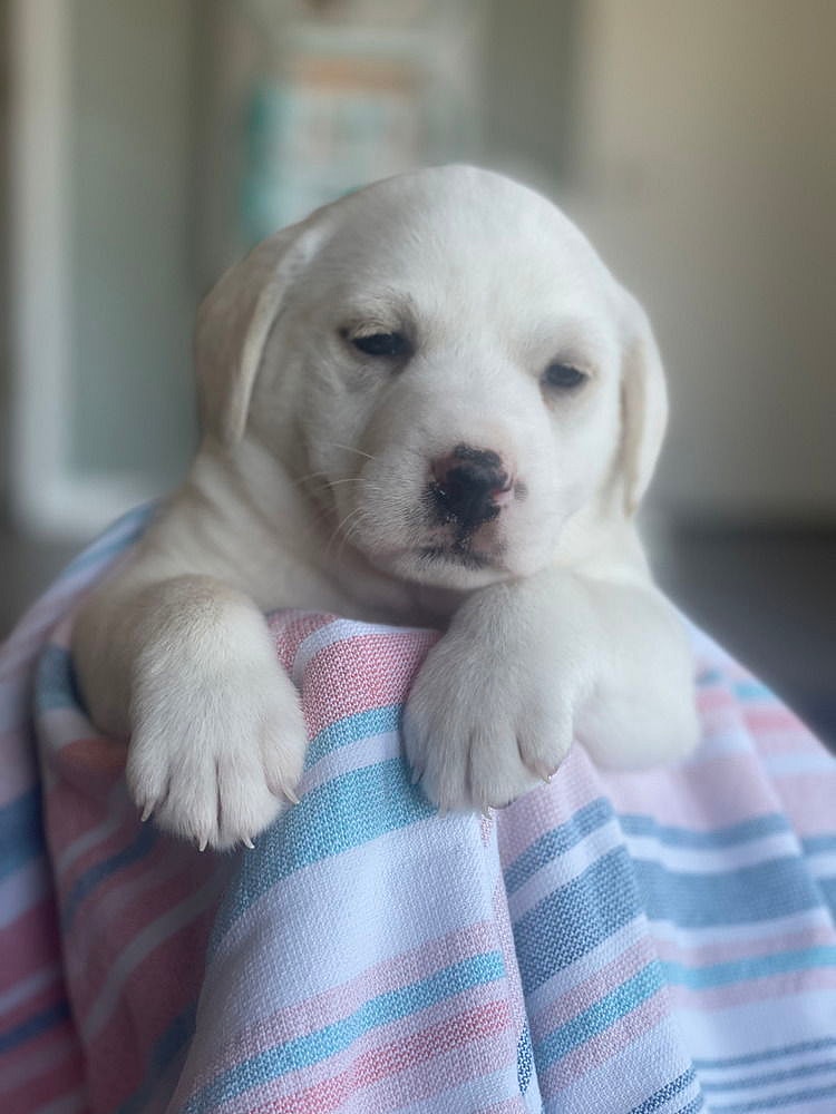 Umatilla / Merry Weather