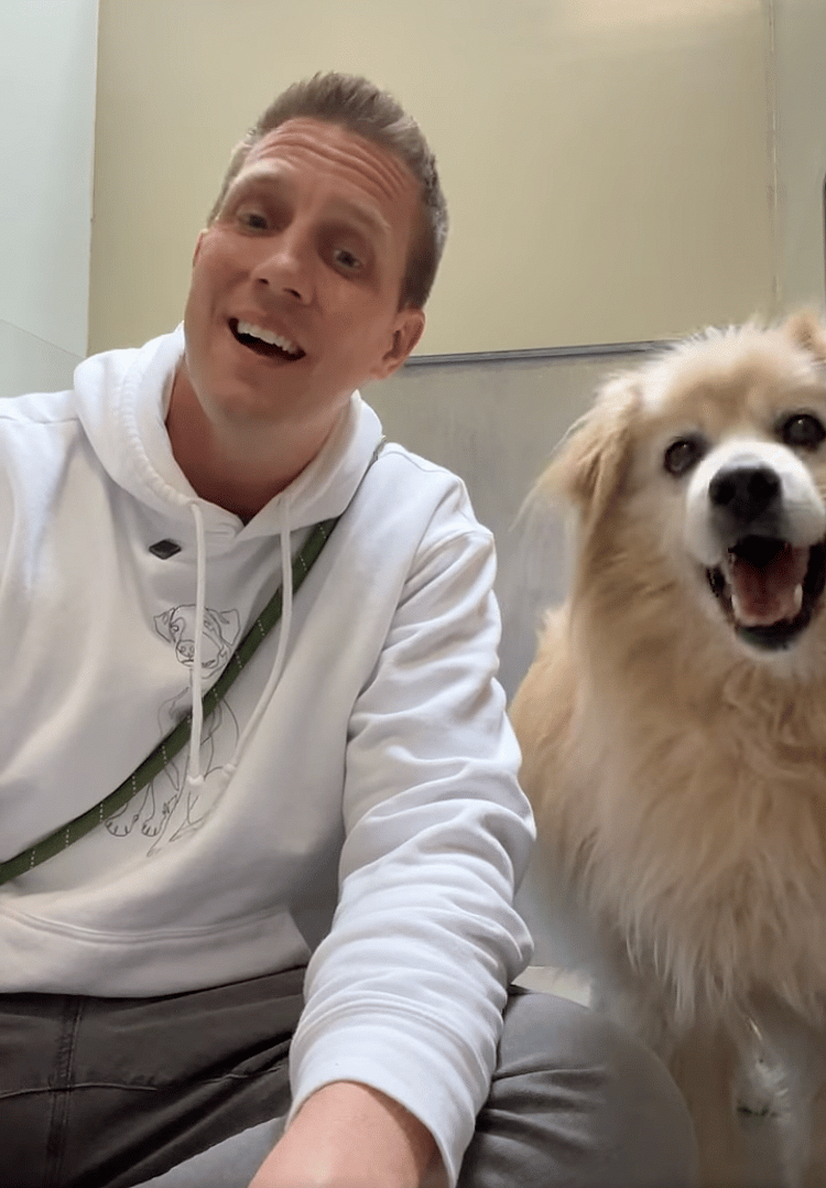 Sitting with dogs: Owner's "Farewell" Selfies With Senior Dog Right Before Abandoning Him Spark Outrage
