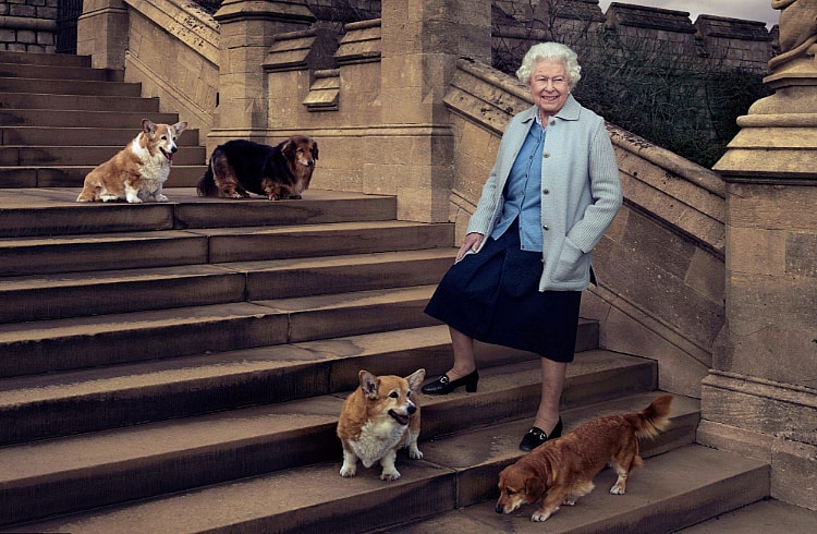 Queen Elizabeth II’s Dorgis and corgis