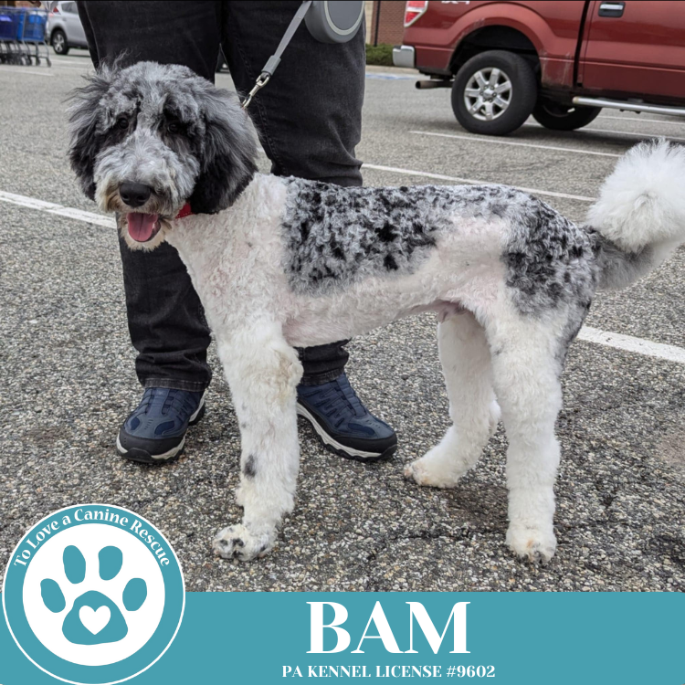 Bam 032225