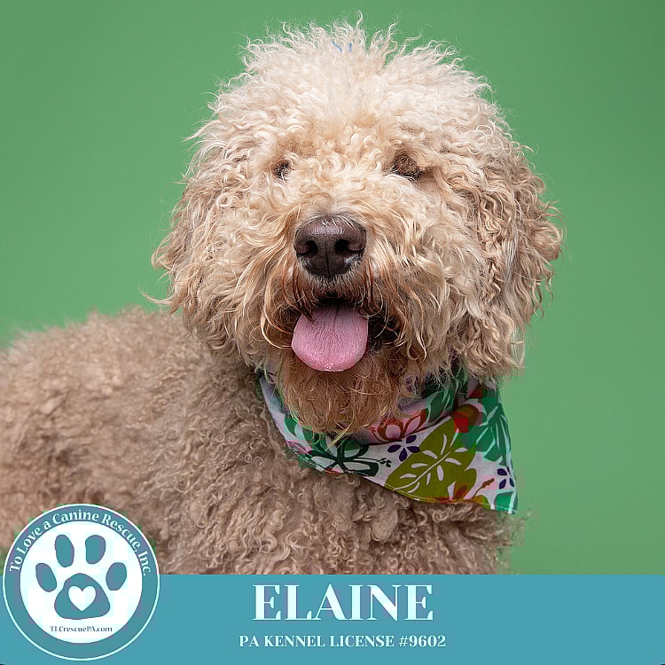 Elaine (No Soup Squad) 030825