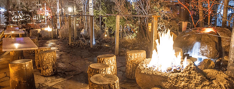 Dog-Friendly Restaurants in Denver